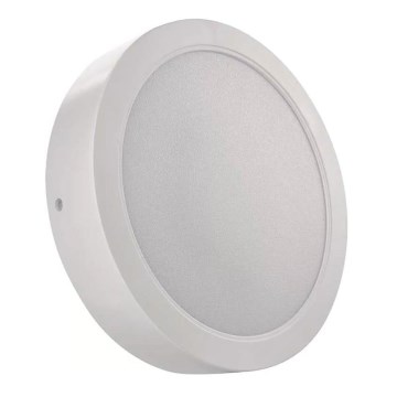 Plafoniera LED LED/24W/230V diametro 22 cm bianco