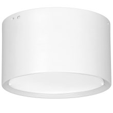 Plafoniera LED LED/25W/230V bianco diametro 15 cm