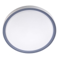 Plafoniera LED LED/36W/230V diam. 40 cm bianco/grigio