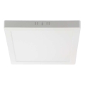 Plafoniera LED LED/6W/230V 4000K 12x12 cm bianco