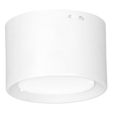 Plafoniera LED LED/6W/230V bianco diametro 8 cm