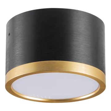 Plafoniera LED MIRELLA 1xGX53/6W/230V nero/oro