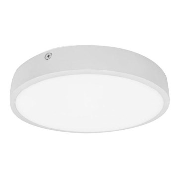 Plafoniera LED per bagni EGON LED/16W/230V IP44 4000K