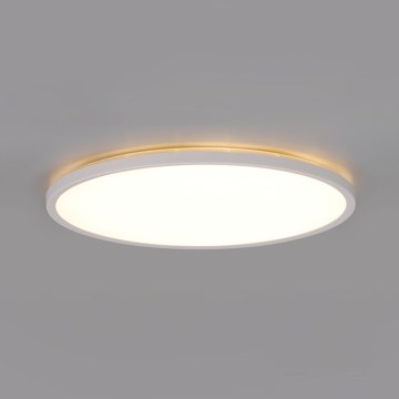 Plafoniera LED per bagno con sensore di movimento e sensore crepuscolare NIVERA LED/12W/230V IP54 3000/4000/6000K diam. 22,5 cm bianca + telecomando