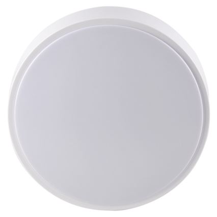 Plafoniera LED per bagno RENE LED/15W/230V IP44 bianca