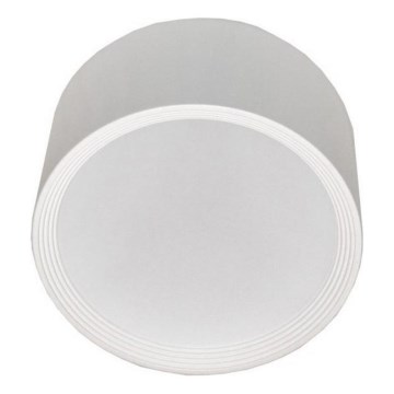 Plafoniera LED PERCI LED/20W/230V IP40 4000K bianco