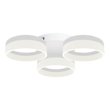 Plafoniera LED RING 3xLED/12W/230V bianco