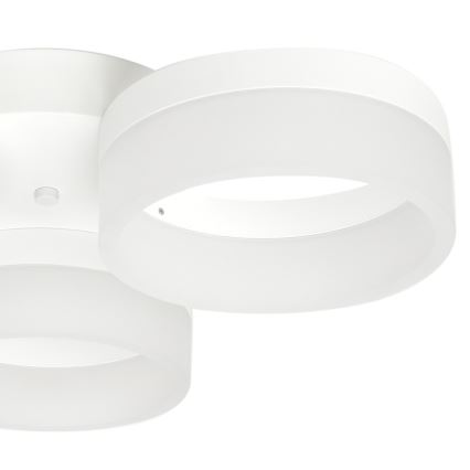 Plafoniera LED RING 3xLED/12W/230V bianco