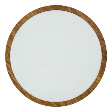 Plafoniera LED RING LED/24W/230V 4200K diametro 28,5 cm marrone