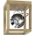 Plafoniera LED ROY 1xGU10/5W/230V quercia opaco