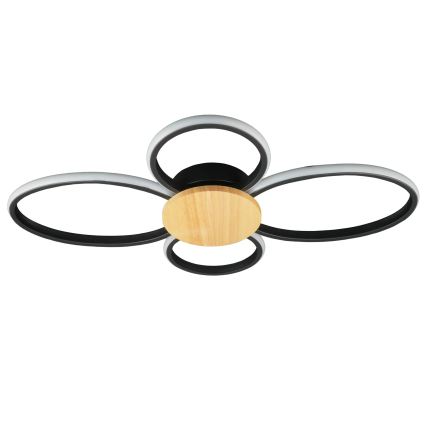 Plafoniera LED SABINA LED/38W/230V Ficus elastica