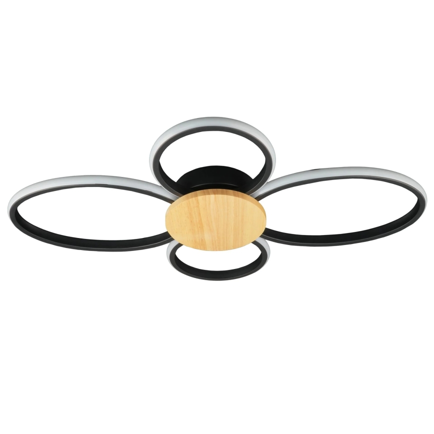 Plafoniera LED SABINA LED/38W/230V Ficus elastica