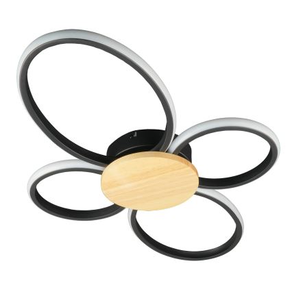 Plafoniera LED SABINA LED/38W/230V Ficus elastica