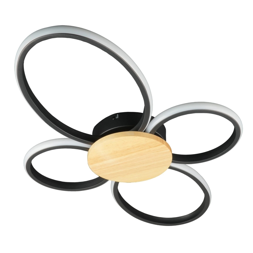 Plafoniera LED SABINA LED/38W/230V Ficus elastica