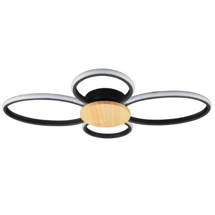 Plafoniera LED SABINA LED/38W/230V Ficus elastica