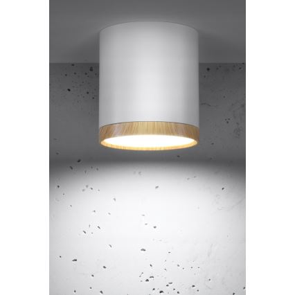 Plafoniera LED TUBA LED/5W/230V bianco/beige