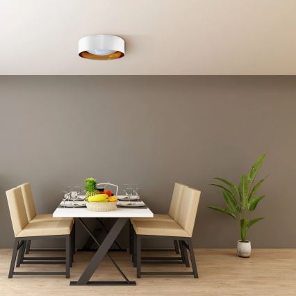 Plafoniera LED TULUZA LED/18W/230V diametro 32 cm bianco