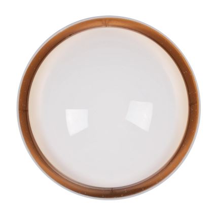 Plafoniera LED TULUZA LED/24W/230V diametro 40 cm bianco