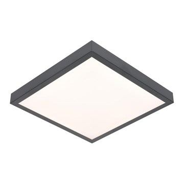 Plafoniera LED VITALI LED/24W/230V