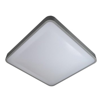 Plafoniera LED WILTON LED/24W/230V 37,5x37,5 cm grigio