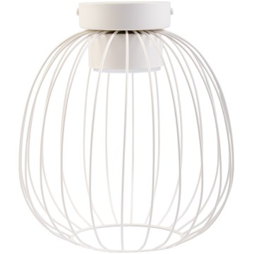 Plafoniera OVELLA 1xGX53/10W/230V Ø 25 cm crema