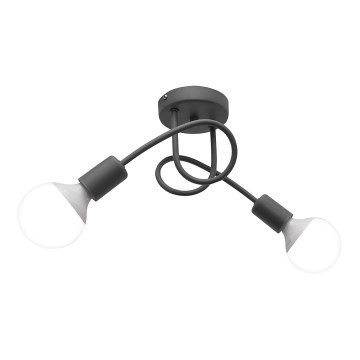 Plafoniera OXFORD 2xE27/15W/230V grigio