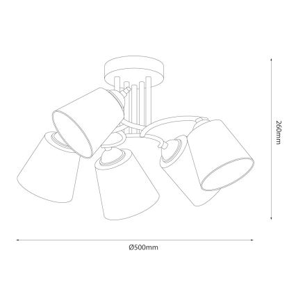 Plafoniera PAFOS 5xE27/15W/230V nera