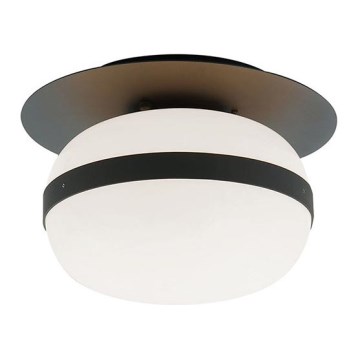 Plafoniera PALMA 1xE27/40W/230V nera