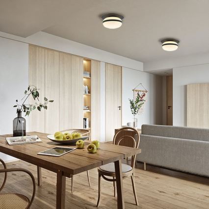 Plafoniera PALMA 1xE27/40W/230V nera