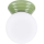 Plafoniera per bagno ZORI 1xG9/8W/230V Ø 12 cm IP44 verde