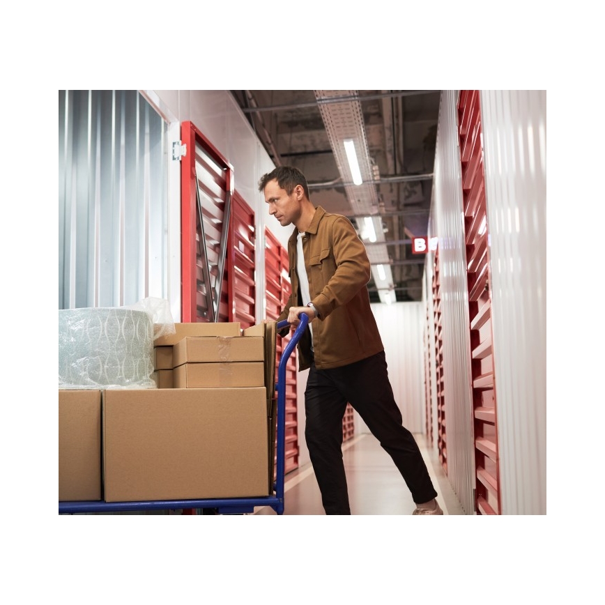 Plafoniera per tubi fluorescenti T8 DELFIA 2xG13/18W/230V 124 cm bianca