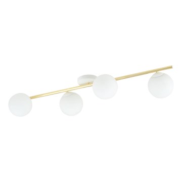 Plafoniera SPLENDI 4xE14/10W/230V bianco/oro
