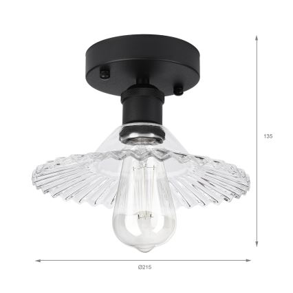 Plafoniera TRISH 1xE27/15W/230V nero/trasparente