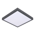 Plafoniera VITAL 2xE27/60W/230V antracite