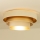 Plafoniera WENTA 1xE27/60W/230V Ø 50 cm beige/oro