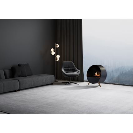 Planika - Caminetto BIO con telecomando 72,6x65 cm 2,5kW/230V nero