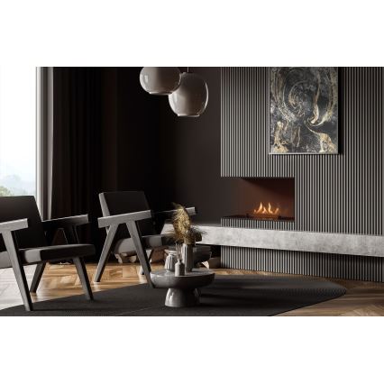Planika - Integrato universale Caminetto BIO con telecomando 56,2x75 cm 2,5kW/230V