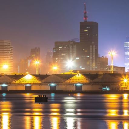 Proiettore LED con chip Samsung LED/1000W/230V 4000K IP65