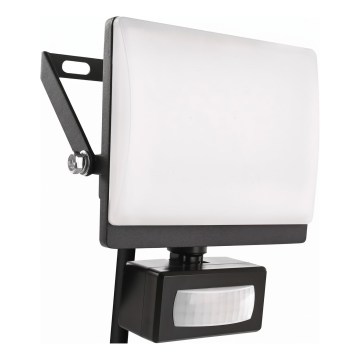 Proiettore LED con sensore di movimento e crepuscolare TAMBO EVO LED/20W/230V 4000K IP44 nero