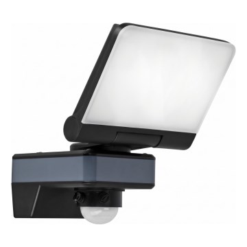 Proiettore LED con sensore di movimento e sensore crepuscolare LED/24W/230V 4200K IP54 nero