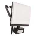 Proiettore LED con sensore di movimento e sensore crepuscolare TAMBO EVO LED/50W/230V 4000K IP44 nero