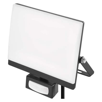Proiettore LED con sensore di movimento e crepuscolare TAMBO EVO LED/30W/230V 4000K IP44 nero