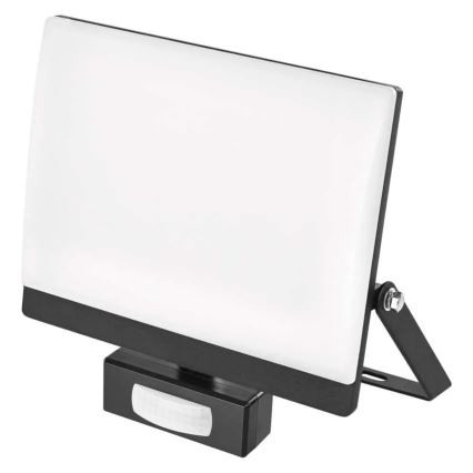 Proiettore LED con sensore di movimento e sensore crepuscolare TAMBO EVO LED/50W/230V 4000K IP44 nero