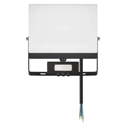 Proiettore LED con sensore di movimento e sensore crepuscolare TAMBO EVO LED/50W/230V 4000K IP44 nero