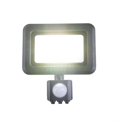 Proiettore LED con sensore LED/20W/230V 4000K IP44