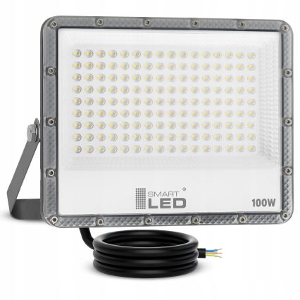Proiettore LED da esterno LED/100W/230V 4500K IP65 grigio