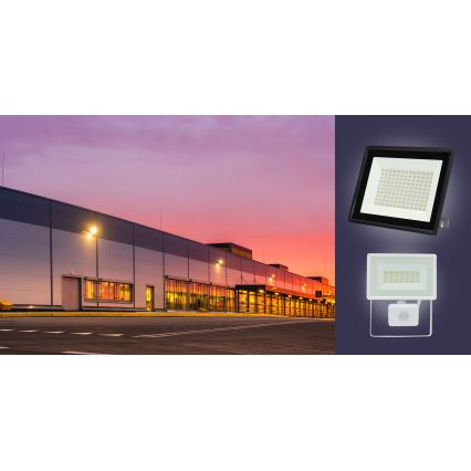 Proiettore LED da esterno NOCTIS LUX 3 LED/10W/230V 3000K IP65 bianco