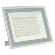 Proiettore LED da esterno NOCTIS LUX 3 LED/50W/230V IP65 bianco