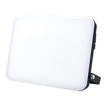 Proiettore LED LED/100W/230V 4000K IP65