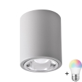Punto luce LED RGBW dimmerabile JUPITER 1xE27/6,5W/230V 2700-6500K Wi-Fi diametro 9,8 cm grigio
